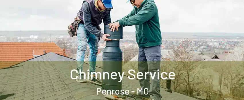 Chimney Service Penrose - MO