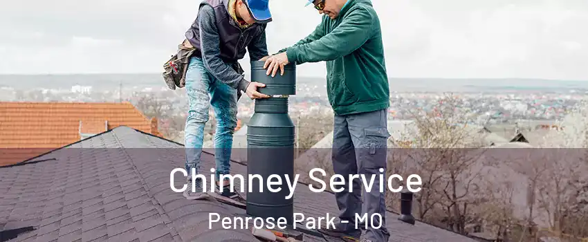 Chimney Service Penrose Park - MO