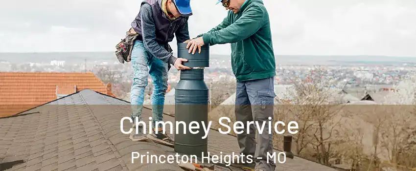 Chimney Service Princeton Heights - MO