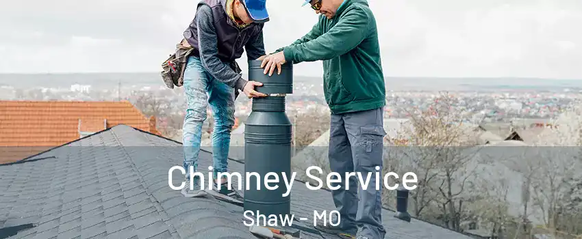 Chimney Service Shaw - MO
