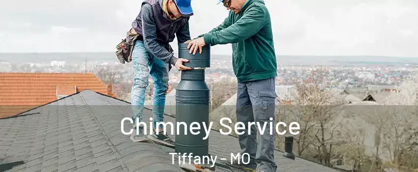 Chimney Service Tiffany - MO