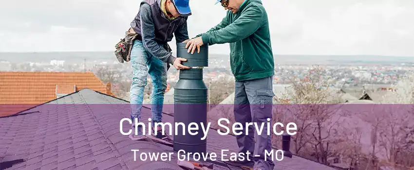 Chimney Service Tower Grove East - MO