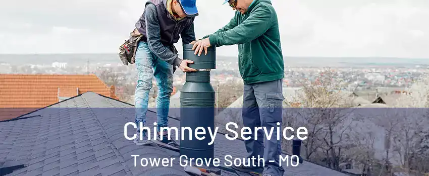 Chimney Service Tower Grove South - MO