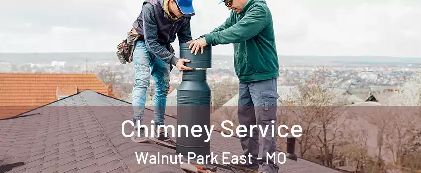 Chimney Service Walnut Park East - MO