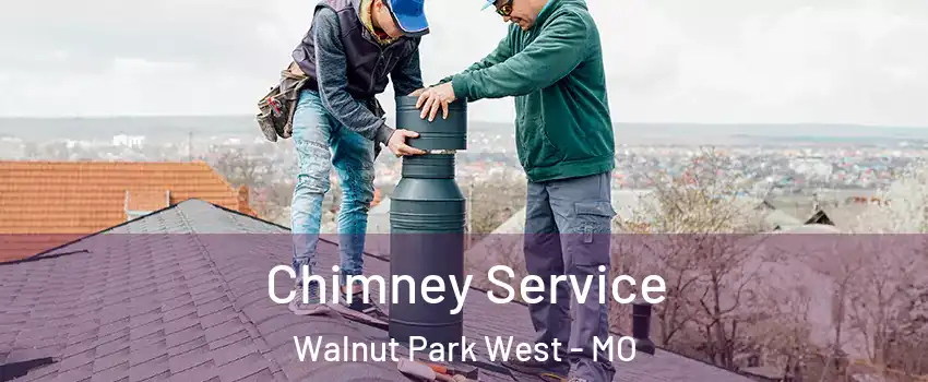 Chimney Service Walnut Park West - MO