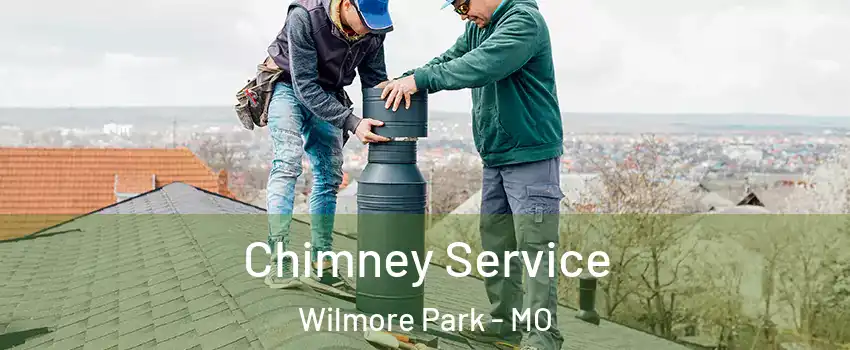 Chimney Service Wilmore Park - MO