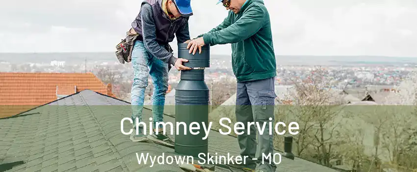 Chimney Service Wydown Skinker - MO