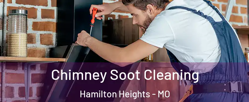 Chimney Soot Cleaning Hamilton Heights - MO