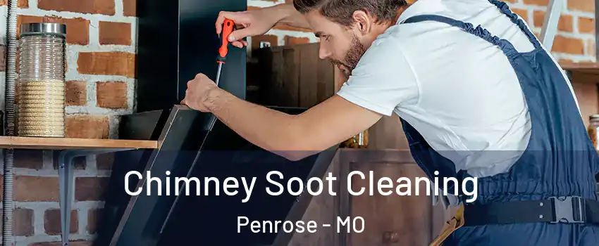 Chimney Soot Cleaning Penrose - MO