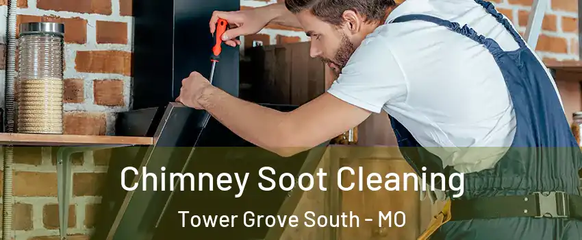 Chimney Soot Cleaning Tower Grove South - MO