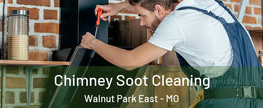 Chimney Soot Cleaning Walnut Park East - MO