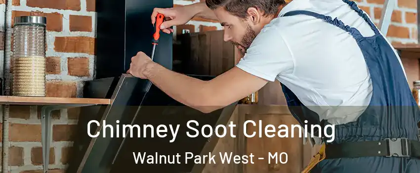 Chimney Soot Cleaning Walnut Park West - MO