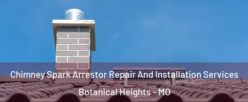 Chimney Spark Arrestor Repair And Installation Services Botanical Heights - MO