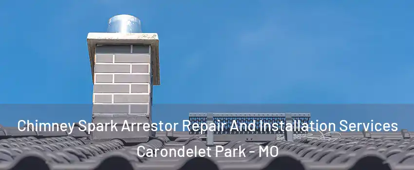 Chimney Spark Arrestor Repair And Installation Services Carondelet Park - MO
