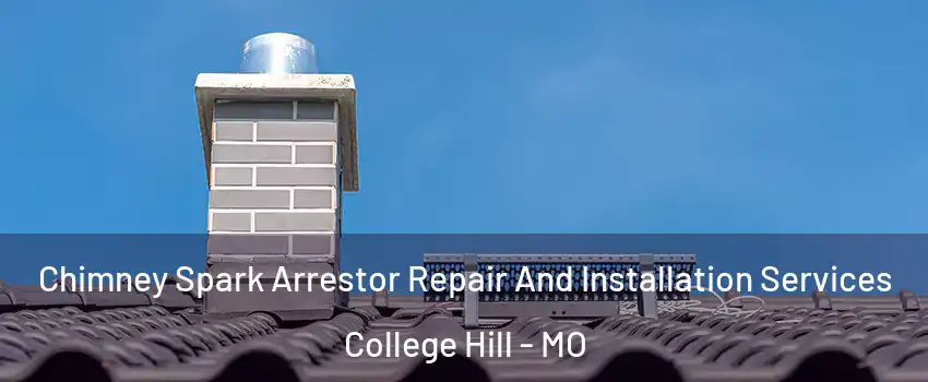 Chimney Spark Arrestor Repair And Installation Services College Hill - MO