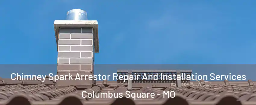 Chimney Spark Arrestor Repair And Installation Services Columbus Square - MO