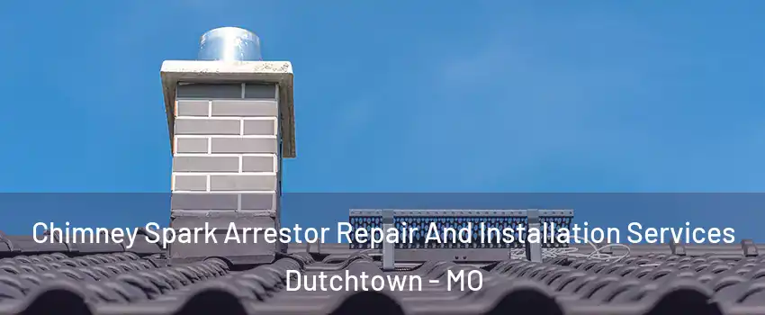 Chimney Spark Arrestor Repair And Installation Services Dutchtown - MO