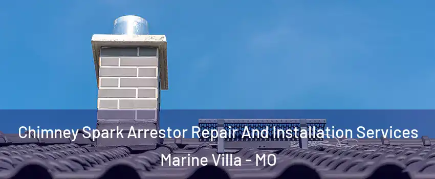 Chimney Spark Arrestor Repair And Installation Services Marine Villa - MO