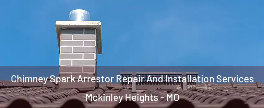 Chimney Spark Arrestor Repair And Installation Services Mckinley Heights - MO