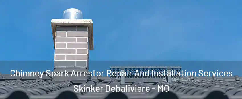 Chimney Spark Arrestor Repair And Installation Services Skinker Debaliviere - MO
