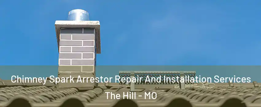 Chimney Spark Arrestor Repair And Installation Services The Hill - MO
