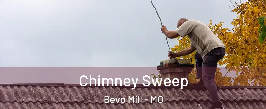 Chimney Sweep Bevo Mill - MO
