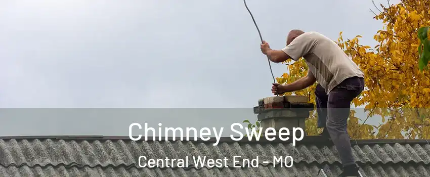 Chimney Sweep Central West End - MO
