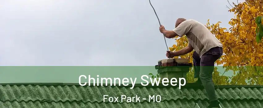 Chimney Sweep Fox Park - MO