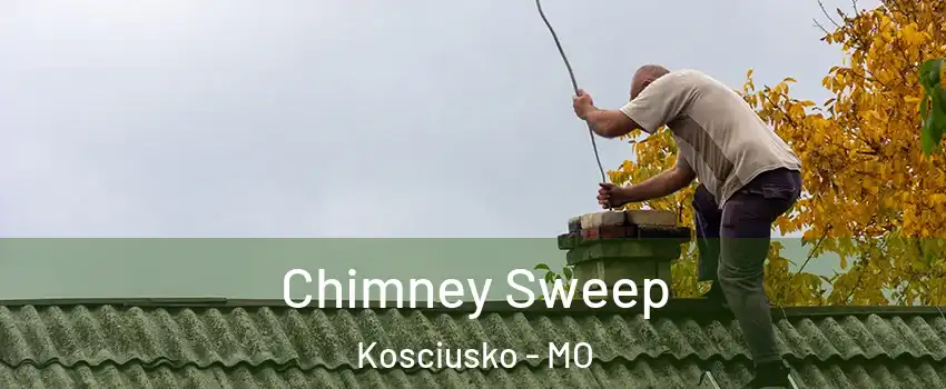 Chimney Sweep Kosciusko - MO