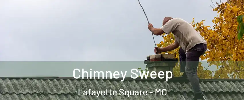 Chimney Sweep Lafayette Square - MO