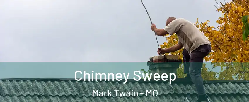 Chimney Sweep Mark Twain - MO
