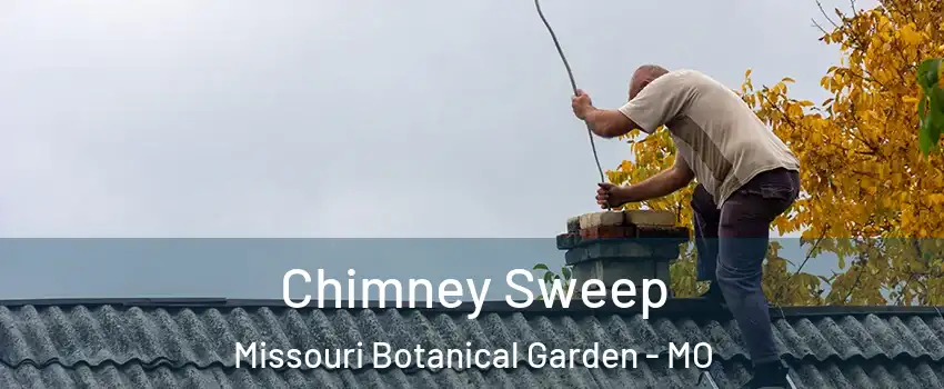 Chimney Sweep Missouri Botanical Garden - MO