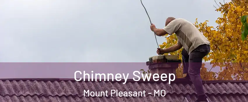 Chimney Sweep Mount Pleasant - MO