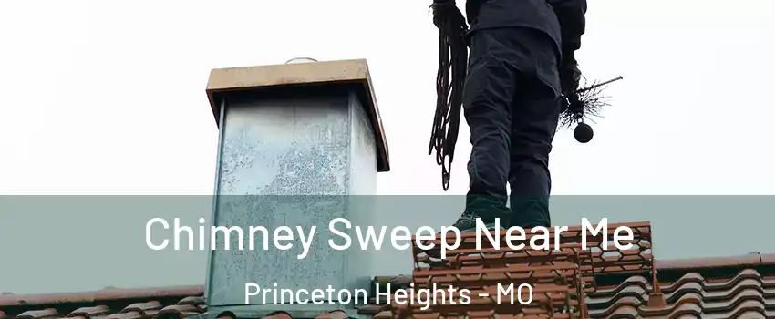 Chimney Sweep Near Me Princeton Heights - MO
