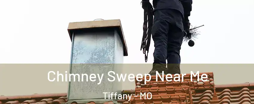 Chimney Sweep Near Me Tiffany - MO