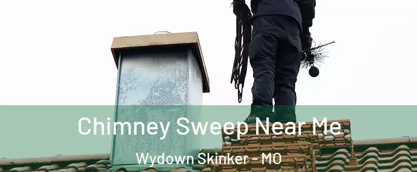 Chimney Sweep Near Me Wydown Skinker - MO