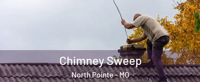 Chimney Sweep North Pointe - MO