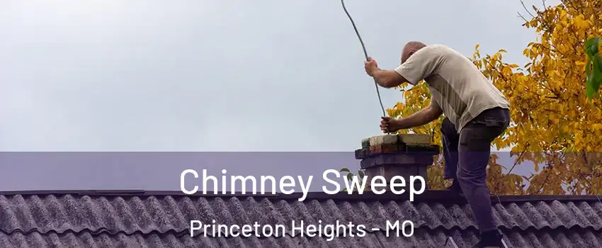 Chimney Sweep Princeton Heights - MO