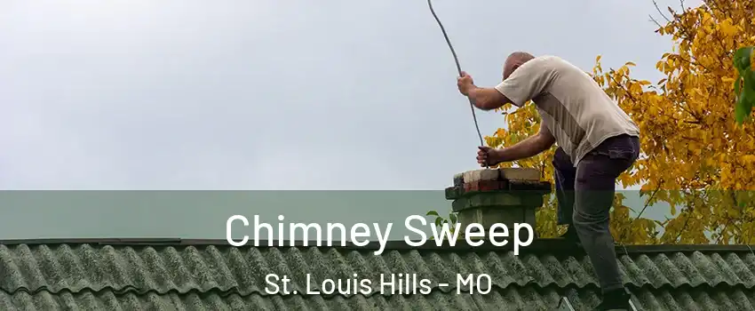 Chimney Sweep St. Louis Hills - MO