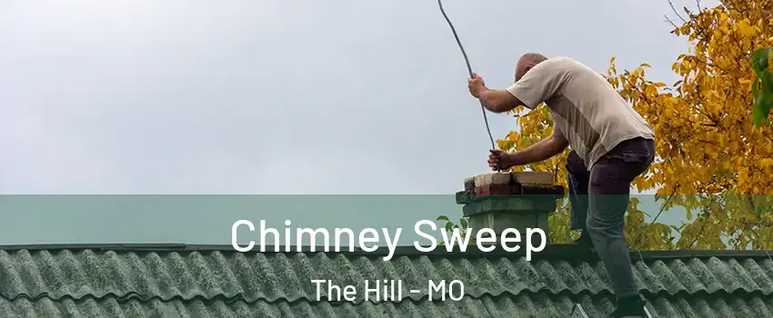 Chimney Sweep The Hill - MO