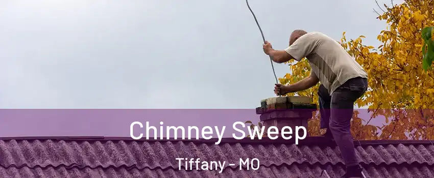 Chimney Sweep Tiffany - MO
