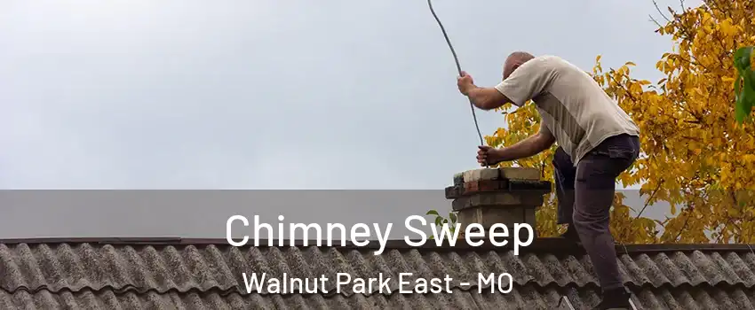 Chimney Sweep Walnut Park East - MO