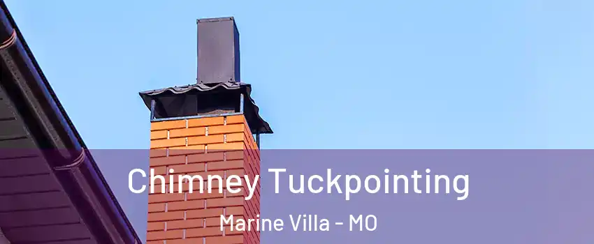 Chimney Tuckpointing Marine Villa - MO