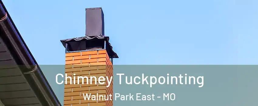 Chimney Tuckpointing Walnut Park East - MO