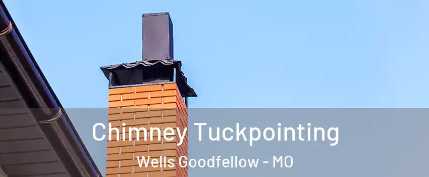 Chimney Tuckpointing Wells Goodfellow - MO
