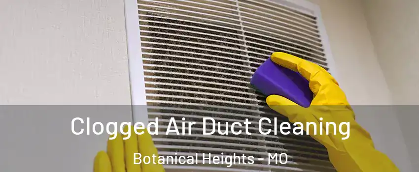 Clogged Air Duct Cleaning Botanical Heights - MO