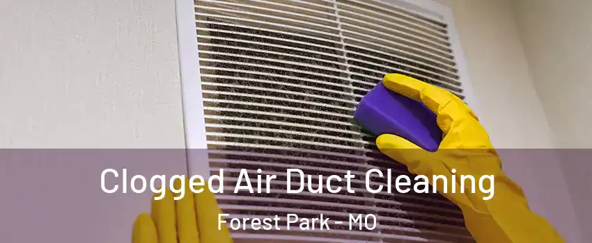 Clogged Air Duct Cleaning Forest Park - MO