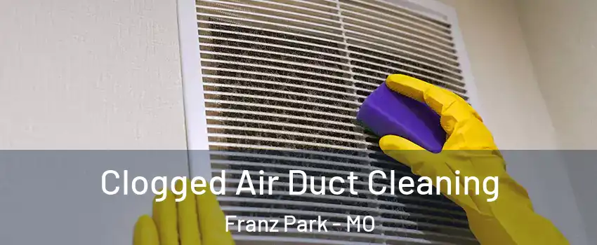 Clogged Air Duct Cleaning Franz Park - MO