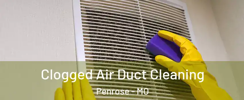 Clogged Air Duct Cleaning Penrose - MO