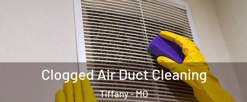Clogged Air Duct Cleaning Tiffany - MO
